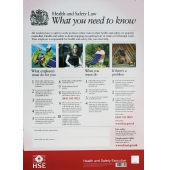 Health and Safety Law Poster (420x595mm - A2 Flexible Plastic)