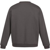 Regatta TRF686 Pro Polycotton Sweatshirt 280g